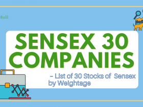 Sensex 30 Companies