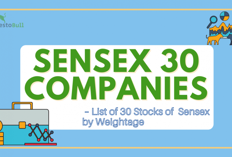 Sensex 30 Companies
